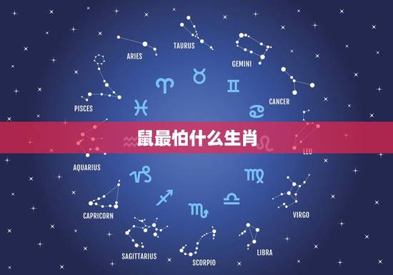 鼠最怕什么生肖,属鼠的最怕的三个生肖 鼠最怕什么生肖,属鼠的最怕的三个生肖