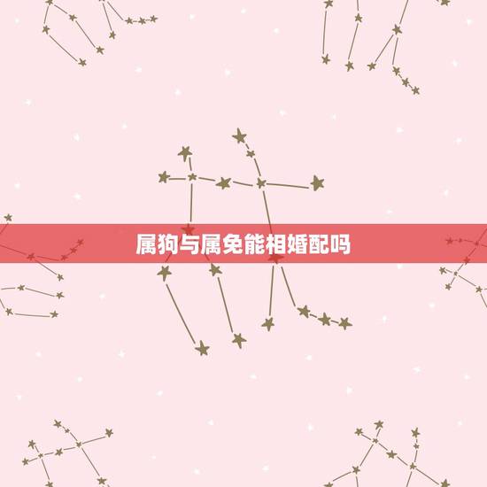 属狗与属免能相婚配吗,属兔女和属狗男相配吗 属狗与属免能相婚配吗,属兔女和属狗男相配吗