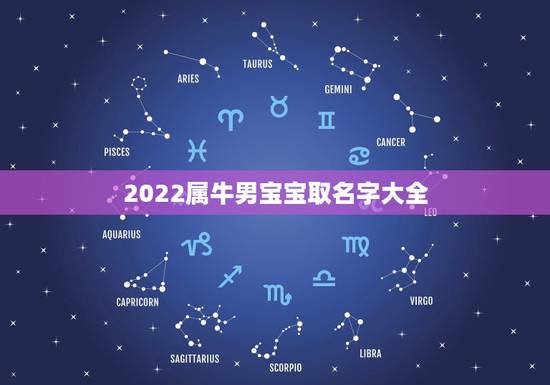 2022属牛男宝宝取名字大全,2022 年牛宝宝取名字 2022属牛男宝宝取名字大全,2022 年牛宝宝取名字