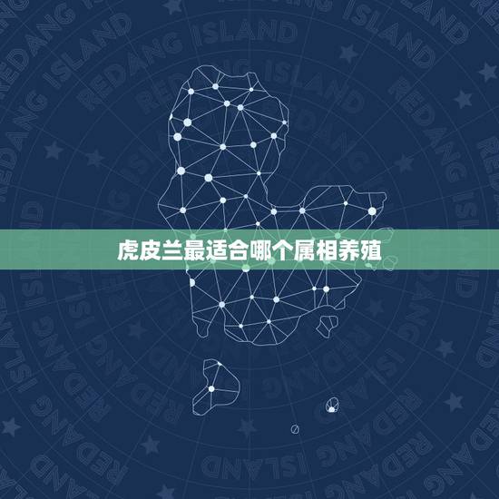虎皮兰最适合哪个属相养殖，家里养虎皮兰吉利吗？虎皮兰的风水作用能提升财