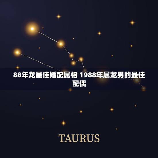 88年龙最佳婚配属相 1988年属龙男的最佳配偶