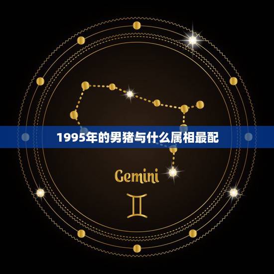 1995年的男猪与什么属相最配，95年属猪男的和什么属相最配 1995