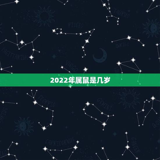 2022年属鼠是几岁，2022 年属虎人的全年运势