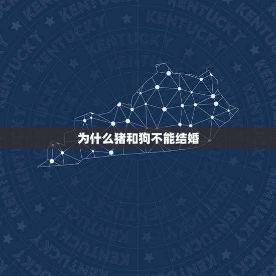 为什么猪和狗不能结婚,为什么叫猪狗大战 为什么猪和狗不能结婚,为什么叫猪狗大战