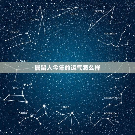 属鼠人今年的运气怎么样,属鼠人一生运势 属鼠人今年的运气怎么样,属鼠人一生运势