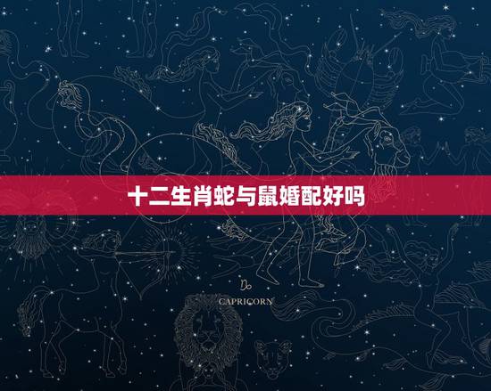十二生肖蛇与鼠婚配好吗，属蛇的和鼠的相配吗？