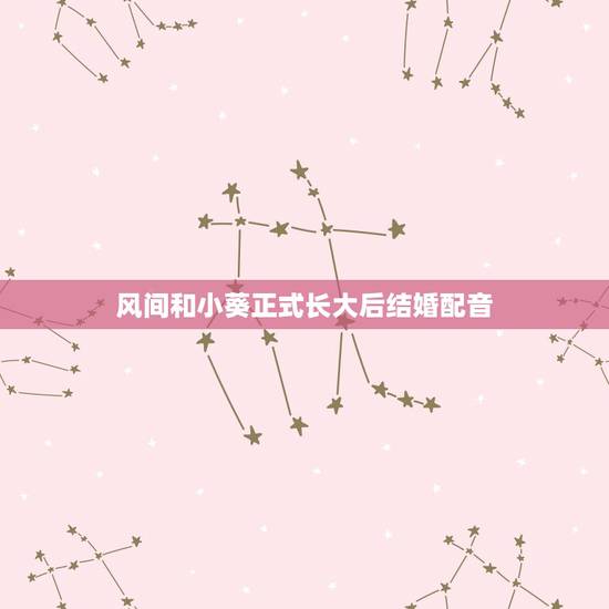 风间和小葵正式长大后结婚配音，蜡笔小新剧场版国语的配音演员