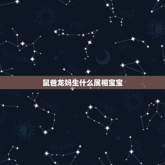 鼠爸龙妈生什么属相宝宝，属鼠和属龙生什么属相的宝宝