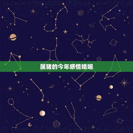 属猪的今年感情婚姻,2022 属猪女人感情 属猪的今年感情婚姻,2022 属猪女人感情