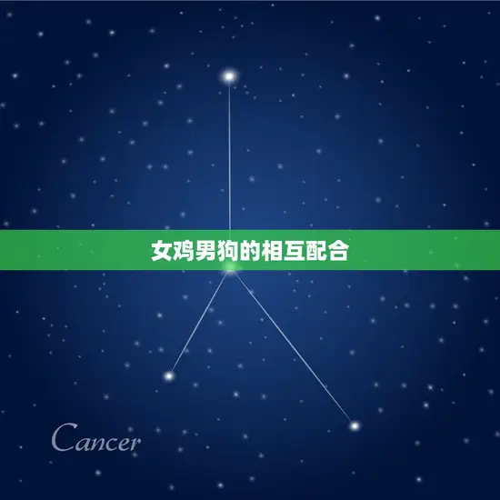 女鸡男狗的相互配合 女鸡男狗的相互配合