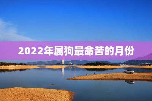 2022年属狗最命苦的月份,2023年属狗人的全年运势 2022年属狗最命苦的月份,2023年属狗人的全年运势