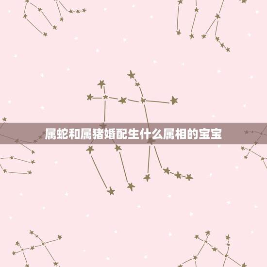 属蛇和属猪婚配生什么属相的宝宝,属相婚配:男属猪和女属蛇相配吗 属蛇和属猪婚配生什么属相的宝宝,属相婚配:男属猪和女属蛇相配吗