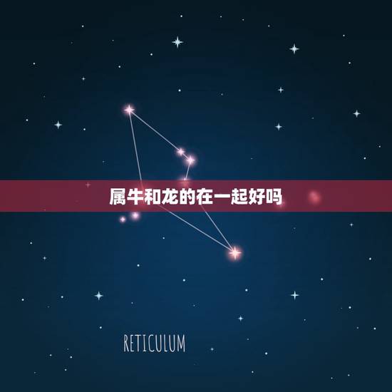 属牛和龙的在一起好吗，属牛和属龙的合得来吗