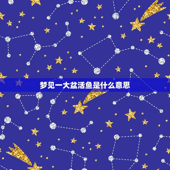 梦见一大盆活鱼是什么意思，梦见一大盆鱼，里面有活的有死的