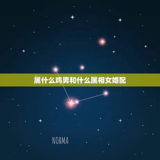 属什么鸡男和什么属相女婚配,属鸡婚配表,鸡男跟什么属相最配 属什么鸡男和什么属相女婚配,属鸡婚配表,鸡男跟什么属相最配