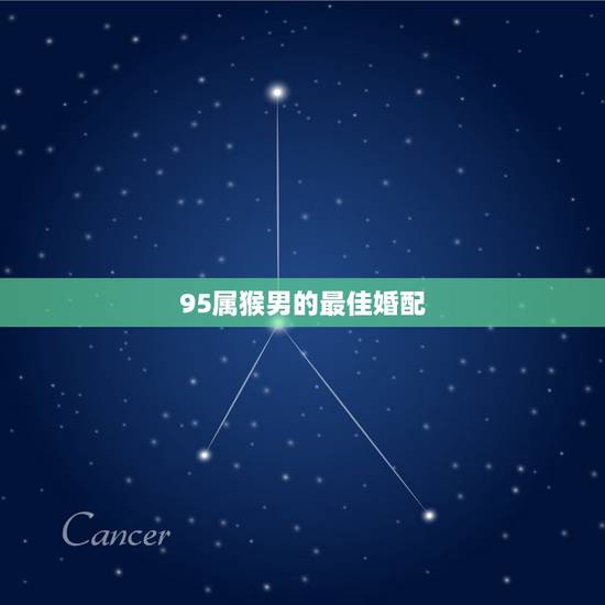 95属猴男的最佳婚配,92年属猴男和95年属猪女婚配 95属猴男的最佳婚配,92年属猴男和95年属猪女婚配
