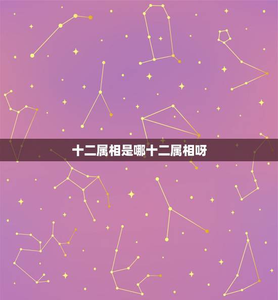 十二属相是哪十二属相呀，十二生肖是哪十二种动物