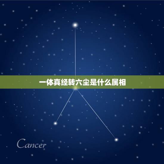 一体真经转六尘是什么属相,真经转六尘猜一生肖 一体真经转六尘是什么属相,真经转六尘猜一生肖