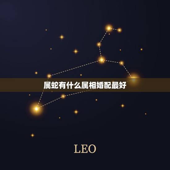 属蛇有什么属相婚配最好,属蛇的找什么属相对他最好 属蛇有什么属相婚配最好,属蛇的找什么属相对他最好