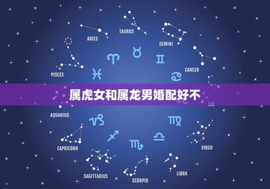 属虎女和属龙男婚配好不，男属虎女属龙相婚配表