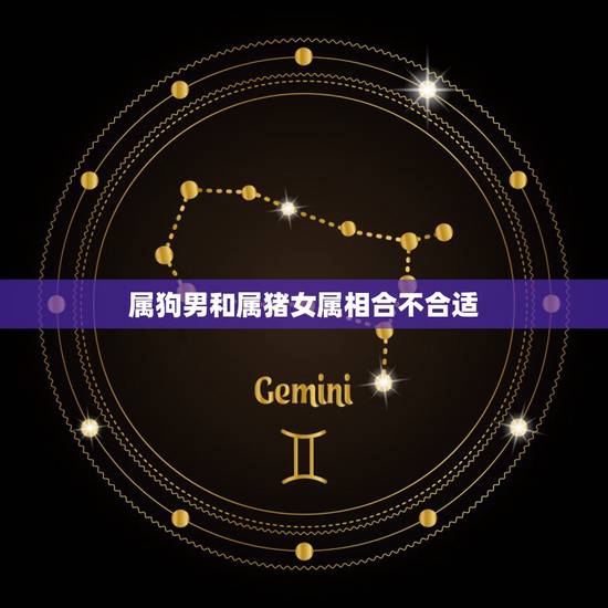 属狗男和属猪女属相合不合适，属狗男和属猪女配吗？