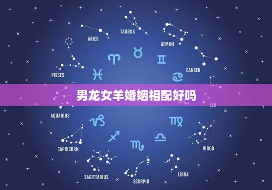 男龙女羊婚姻相配好吗，88年的男龙和91的女羊