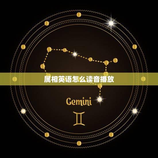 属相英语怎么读音播放，十二生肖的英语单词怎么读出来？