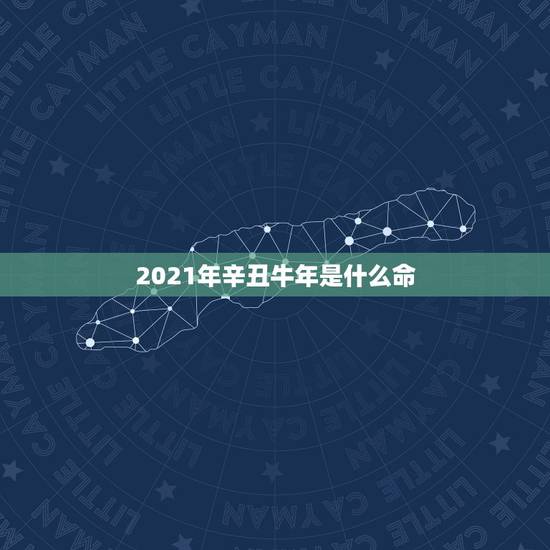 2021年辛丑牛年是什么命,2021年是辛丑牛年吗 2021年辛丑牛年是什么命,2021年是辛丑牛年吗