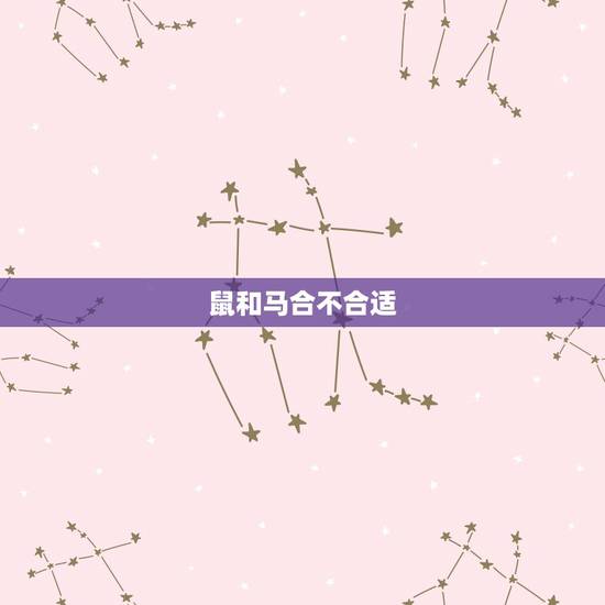 鼠和马合不合适,鼠和马做生意合不合财 鼠和马合不合适,鼠和马做生意合不合财