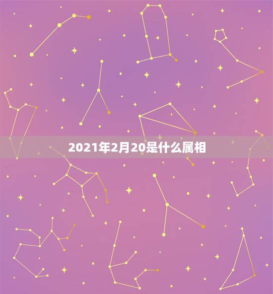 2021年2月20是什么属相,2021年躲星生肖对照表 2021年2月20是什么属相,2021年躲星生肖对照表