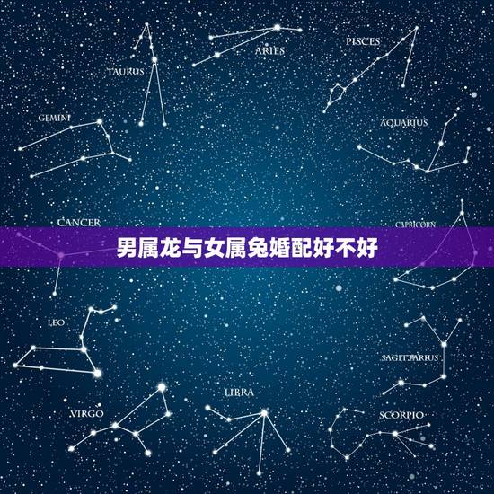 男属龙与女属兔婚配好不好,属龙男和属兔女在一起好不好 男属龙与女属兔婚配好不好,属龙男和属兔女在一起好不好