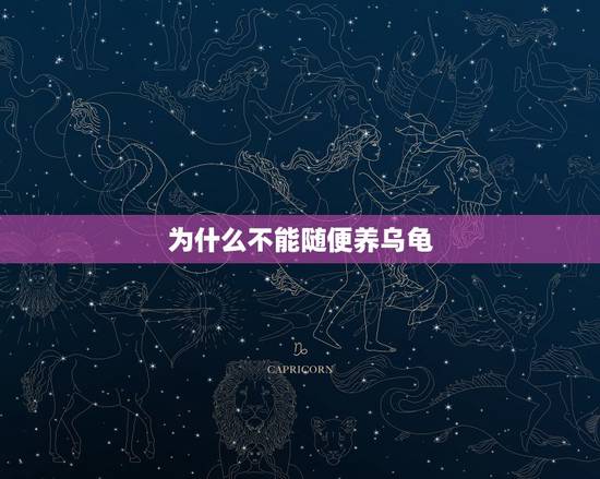 为什么不能随便养乌龟，家庭不能养乌龟吗