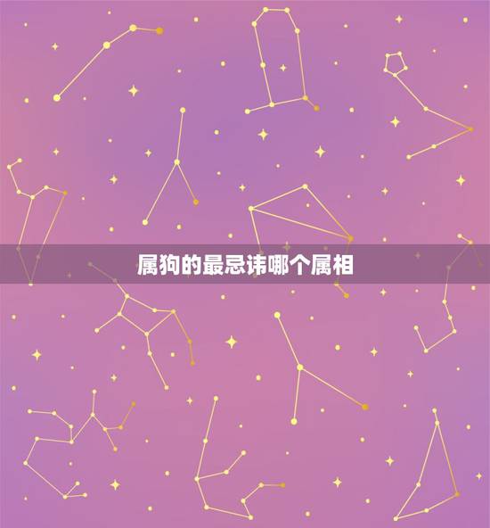 属狗的最忌讳哪个属相，2015年什么生肖旺狗