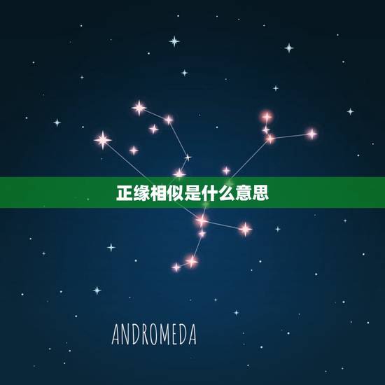 正缘相似是什么意思,正缘是什么,你们知道吗 正缘相似是什么意思,正缘是什么,你们知道吗