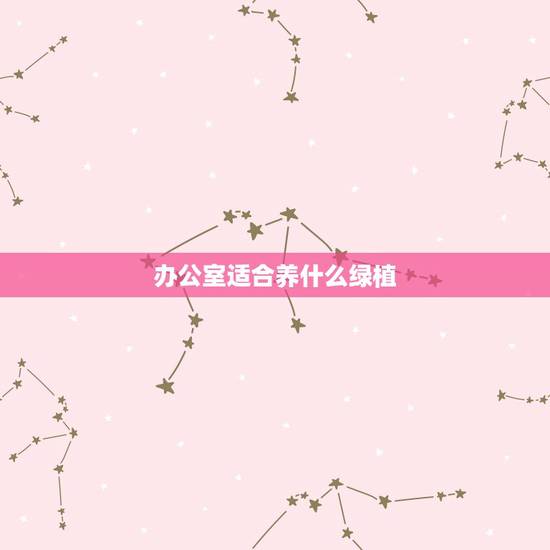 办公室适合养什么绿植，办公室适合放什么植物？