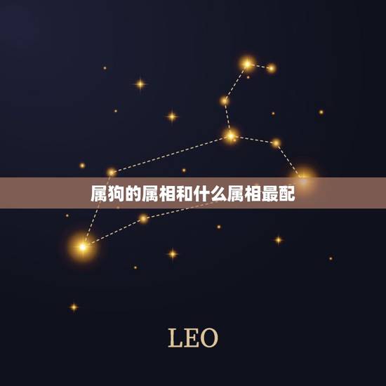 属狗的属相和什么属相最配,属狗的男人和什么属相最配? 属狗的属相和什么属相最配,属狗的男人和什么属相最配?
