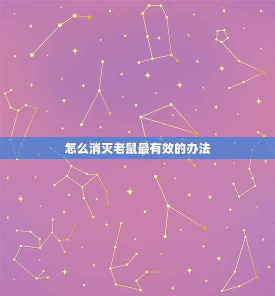 怎么消灭老鼠最有效的办法,弄死老鼠更好的办法 怎么消灭老鼠最有效的办法,弄死老鼠更好的办法
