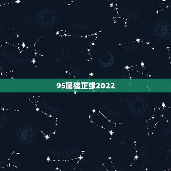 95属猪正缘2022，95年属猪女2022年的运势