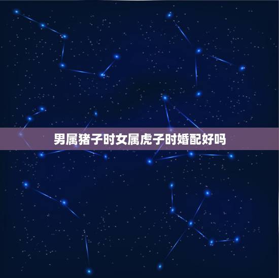 男属猪子时女属虎子时婚配好吗,属猪申时的男人的和属虎子时的女人相配嘛 男属猪子时女属虎子时婚配好吗,属猪申时的男人的和属虎子时的女人相配嘛