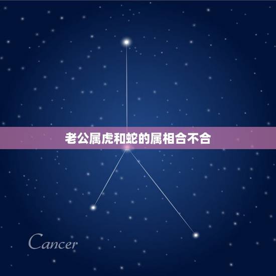 老公属虎和蛇的属相合不合,属虎和属蛇命合不合 老公属虎和蛇的属相合不合,属虎和属蛇命合不合