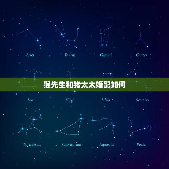 猴先生和猪太太婚配如何,猴(男)和猪(女)配吗? 猴先生和猪太太婚配如何,猴(男)和猪(女)配吗?