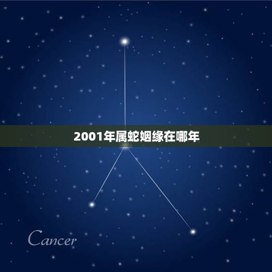 2001年属蛇姻缘在哪年,2001年属蛇女和1999年属兔男婚姻 2001年属蛇姻缘在哪年,2001年属蛇女和1999年属兔男婚姻