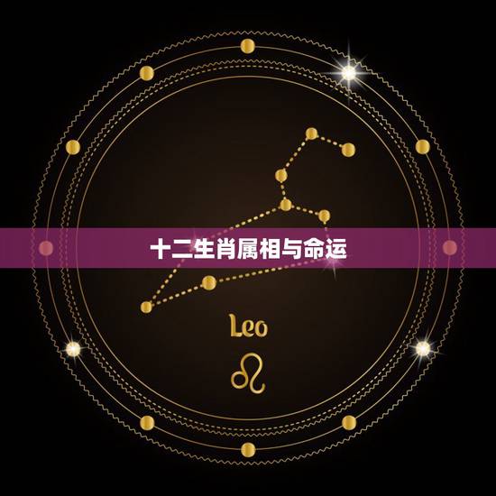 十二生肖属相与命运，十二生肖是什么命表