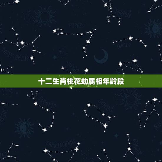 十二生肖桃花劫属相年龄段，属虎一生桃花劫是什么生肖