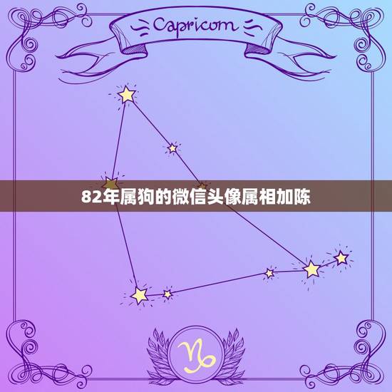 82年属狗的微信头像属相加陈，属狗的微信头像什么适合