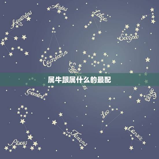属牛跟属什么的最配，属牛和什么属相最配对