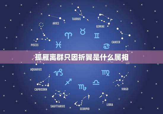 孤雁离群只因折翼是什么属相，孤雁离群只因折翼。没法埋堆难捡食。落泊江湖