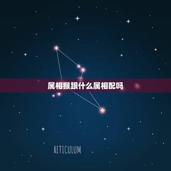 属相猴跟什么属相配吗，免属相和什么属相最配