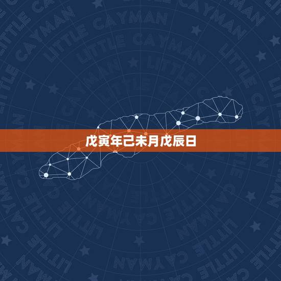 戊寅年己未月戊辰日，戊辰年甲子月己未日