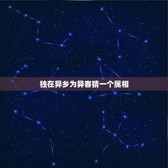 独在异乡为异客猜一个属相，独在异乡为异客的生肖